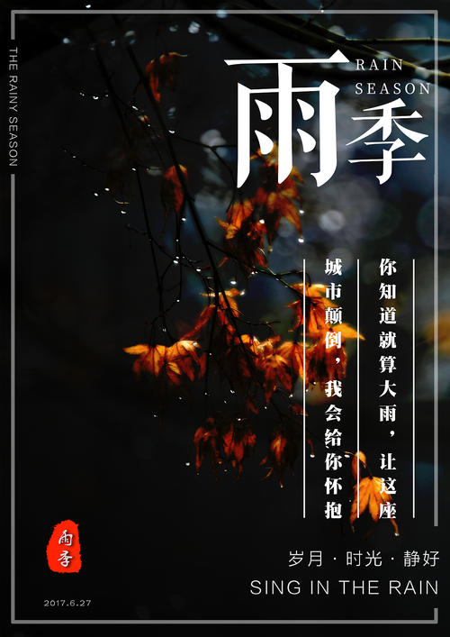 利摩日大学理工科文凭证书